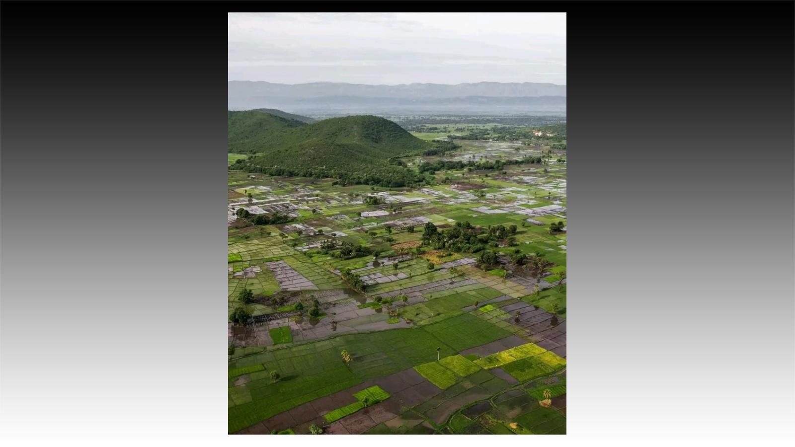 « Droits linguistiques » et « droit à la langue » en Haïti, la longue